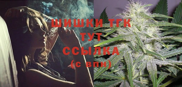 соль ск Горняк