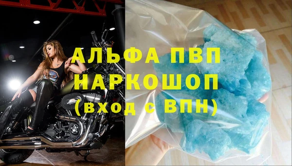 Альфа ПВП Горно-Алтайск