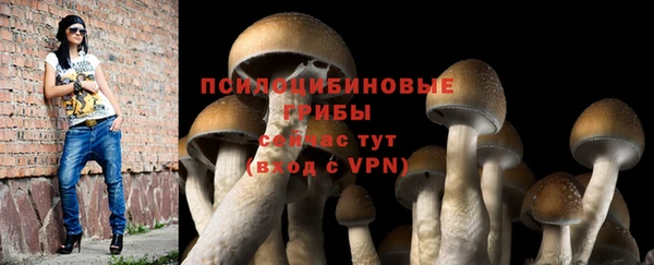 Альфа ПВП Горно-Алтайск